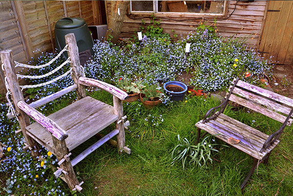 Two wooden chairs in garden