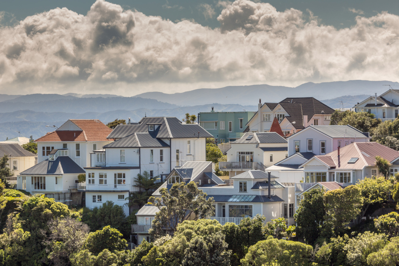 Wellington suburbs and sea